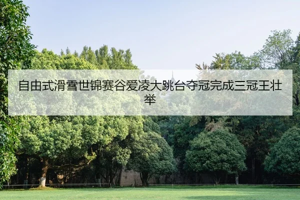 zi-you-shi-hua-xue-shi-jin-sai-gu-ai-ling-da-tiao-tai-duo-guan-wan-cheng-san-guan-wang-zhuang-ju-2-374.jpg